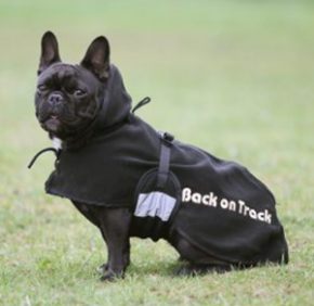 Picture for category Back On Track