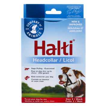 Show details for HALTI CANINE HEADCOLLAR BLACK (J1011C) - Size 2 Picture of HALTI CANINE HEADCOLLAR BLACK (J1011C) - Size 2
