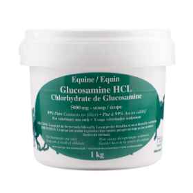 Show details for GLUCOSAMINE HCL EQUINE - 1kg Picture of GLUCOSAMINE HCL EQUINE - 1kg
