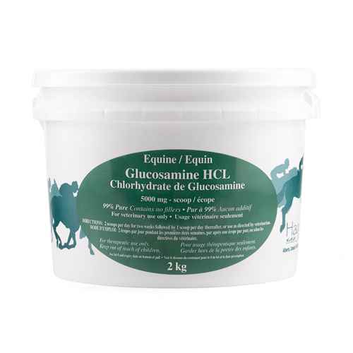 Picture of GLUCOSAMINE HCL EQUINE - 2kg