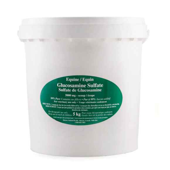 Picture of GLUCOSAMINE SULFATE EQUINE - 5kg