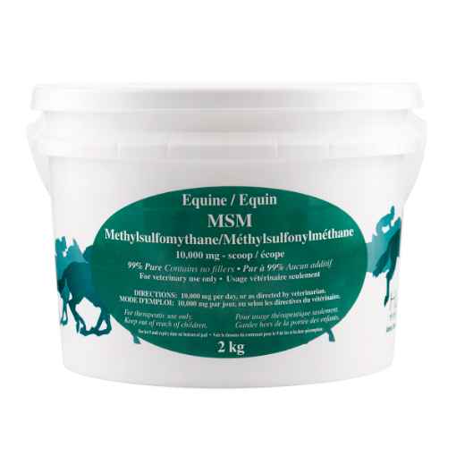 Picture of MSM EQUINE - 2kg