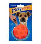 Picture of PLAYTIME PET TRICKY TREATS Orange - 2.5in
