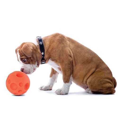 Picture of PLAYTIME PET TRICKY TREATS Orange - 2.5in