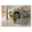 Show details for CAT LITTER BOX ROLLAWAY SELF CLEANING - Small Picture of CAT LITTER BOX ROLLAWAY SELF CLEANING - Small