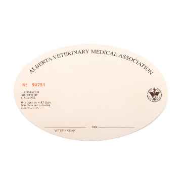 Show details for ABVMA TAG PREGNANCY - 250/pkg Picture of ABVMA TAG PREGNANCY - 250/pkg