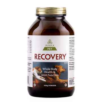 Picture of RECOVERY NUTRACEUTICAL CANINE/FELINE POWDER - 350gm