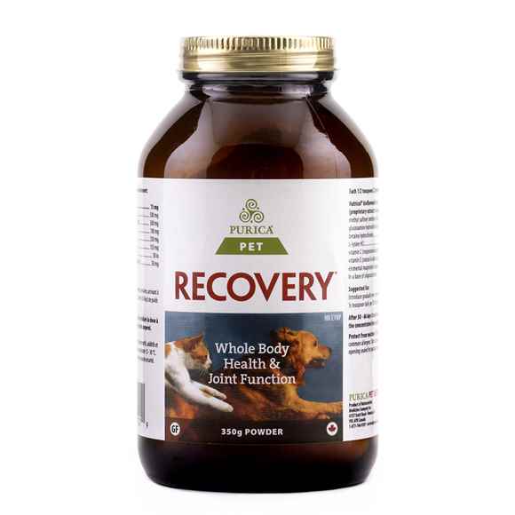 Picture of RECOVERY NUTRACEUTICAL CANINE/FELINE POWDER - 350gm