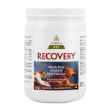 Picture of RECOVERY NUTRACEUTICAL CANINE/FELINE POWDER - 1kg