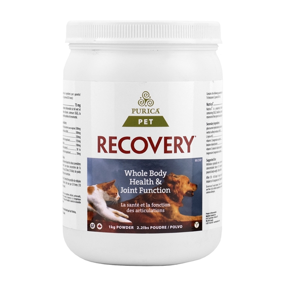 Picture of RECOVERY NUTRACEUTICAL CANINE/FELINE POWDER - 1kg