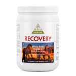 Picture of RECOVERY EQ NUTRACEUTICAL EQUINE POWDER - 1kg