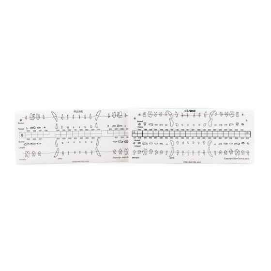 Picture of DENTALAIRE DENTAL CHARTS STARTER KIT - 50pkg