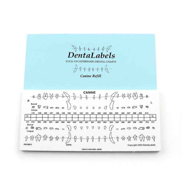 Picture of DENTALAIRE DENTAL CHARTS(STICK-ON)CANINE - 50/pkg