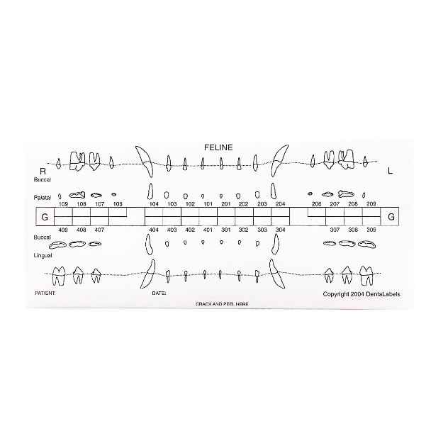 Picture of DENTALAIRE DENTAL CHARTS(STICK-ON)FELINE - 50/pkg