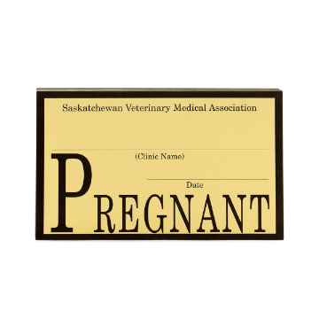 Show details for SVMA TAGS PREGNANCY - 50's Picture of SVMA TAGS PREGNANCY - 50's