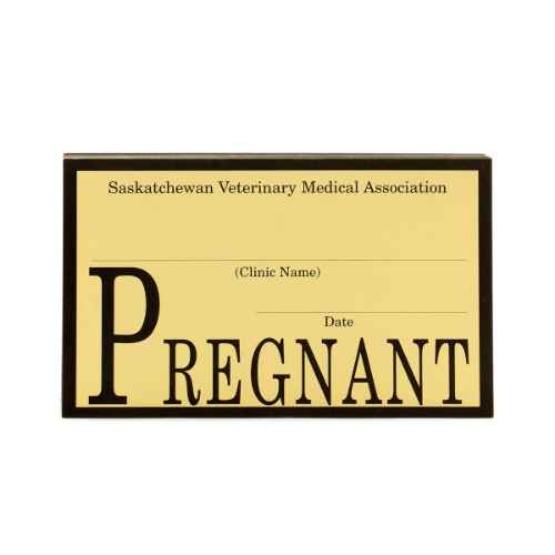 Picture of SVMA TAGS PREGNANCY - 50's