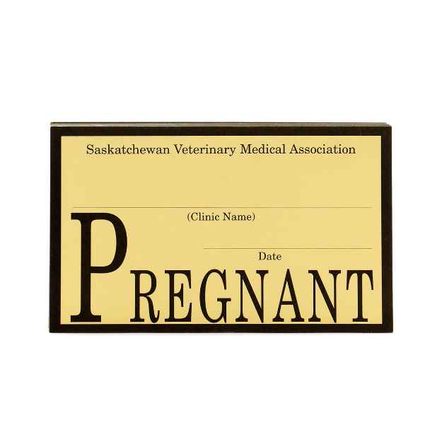 Picture of SVMA TAGS PREGNANCY - 50's