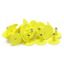 Show details for ALLFLEX BUTTON GLOBAL SMALL MALE YELLOW - 25/bag Picture of ALLFLEX BUTTON GLOBAL SMALL MALE YELLOW - 25/bag