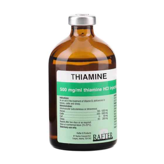 Picture of THIAMINE 500mg/ml - 100ml 