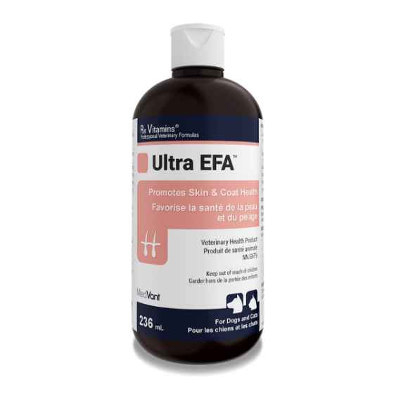 Picture of RX VITAMINS ULTRA EFA SYRUP - 236ml