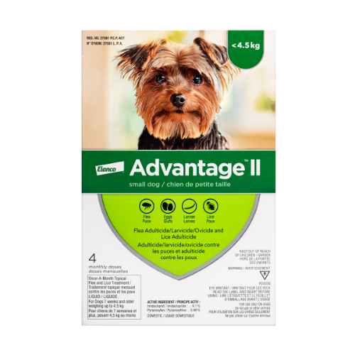 Picture of ADVANTAGE II CANINE SMALL DOG UNDER 4.5kg - 4's (su12)