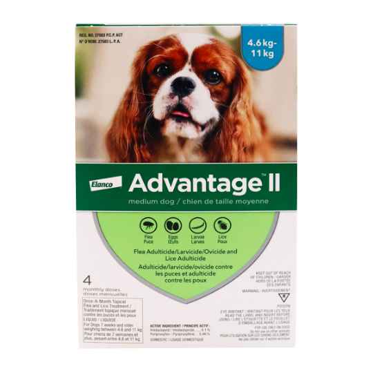 Picture of ADVANTAGE II TEAL 4 x 1ml DOG 4.6kg - 11kg - 4's (su12)