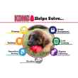 Picture of TOY DOG KONG Puppy - Medium