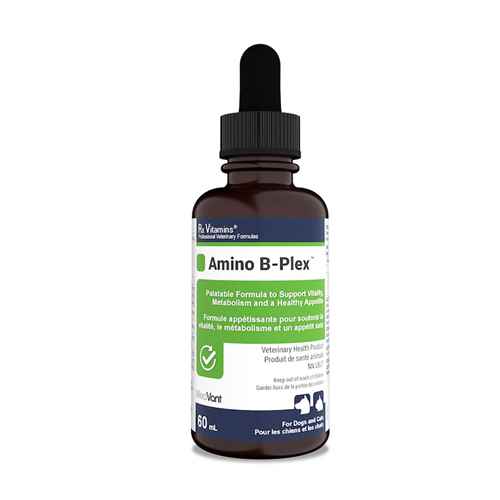 Picture of RX VITAMINS AMINO B-PLEX  - 60ml