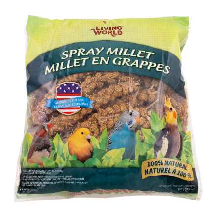 Picture of LIVING WORLD SPRAY MILLET (82473) - 500g / 17.6oz