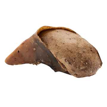 Show details for ROLLOVER BEEF HOOF STUFFED with Lamb wrapped Picture of ROLLOVER BEEF HOOF STUFFED with Lamb wrapped