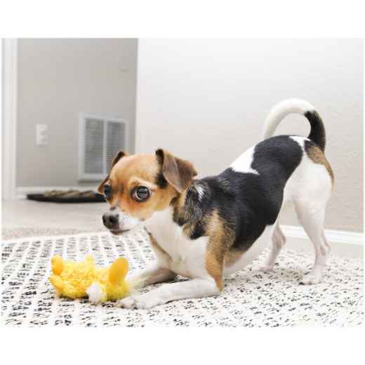 Picture of TOY DOG KONG Platy Duck (NY3) - Small