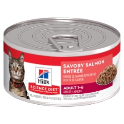 Picture of Feline Science Diet Adult Salmon Entree - 24x155g Cans