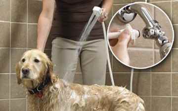 Picture of PET SHOWER DELUXE w/8 foot hose - ea