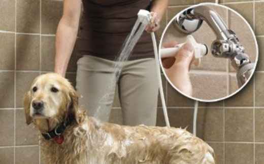 Picture of PET SHOWER DELUXE w/8 foot hose - ea