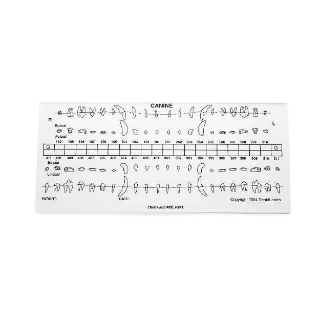 Picture of DENTAL CHART LABEL REFILLS DOG - 50/pk (425)