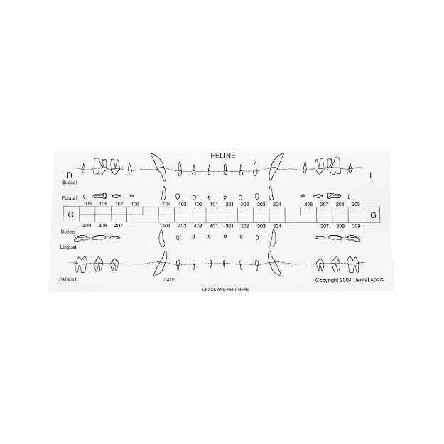 Picture of DENTAL CHART LABEL REFILLS CAT (426)  - 50/pk