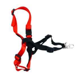 Show details for HARNESS CANINE HALTI TRAINING Red/Black (J1012B) - Medium Picture of HARNESS CANINE HALTI TRAINING Red/Black (J1012B) - Medium