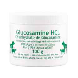 Picture of Glucosamine Powder for Dogs  - 100g