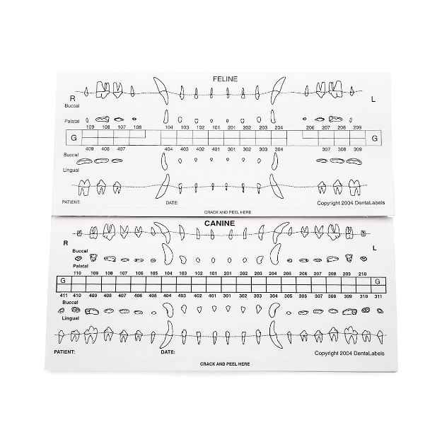 Picture of DENTAL CHART LABEL STARTER KIT 25dog/25cat (424)