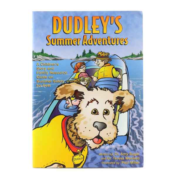 Picture of DUDLEYS SUMMER ADVENTURE BOOK