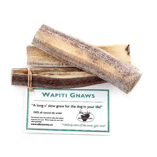Picture of ELK WAPITI GNAWS - 12/pkg