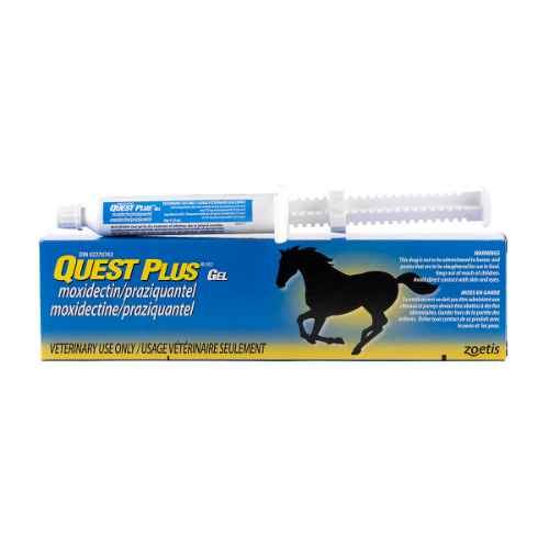 Picture of QUEST PLUS GEL - 12 tubes(su4)