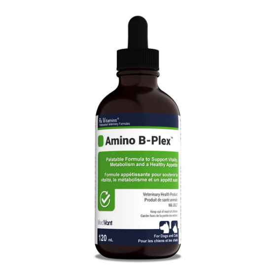 Picture of RX VITAMINS AMINO B-PLEX - 120ml