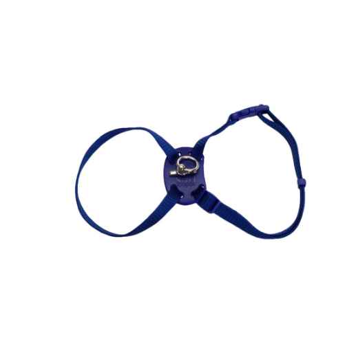 Picture of HARNESS FELINE ADJUSTABLE NYLON Blue - 12-18in x 3/8in