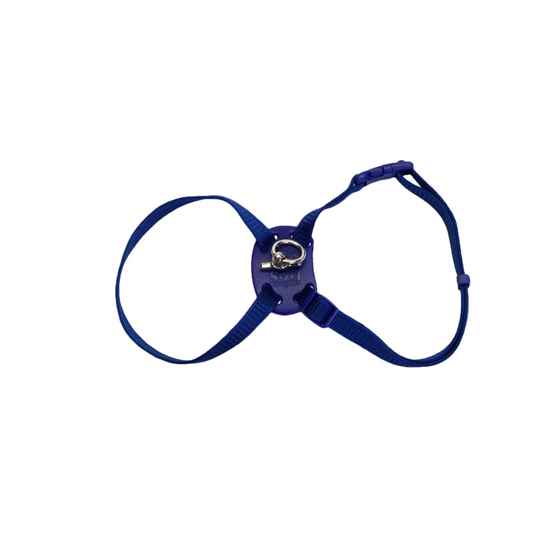 Picture of HARNESS CAT ADJUST NYLON 12-18in x 3/8in - Blue