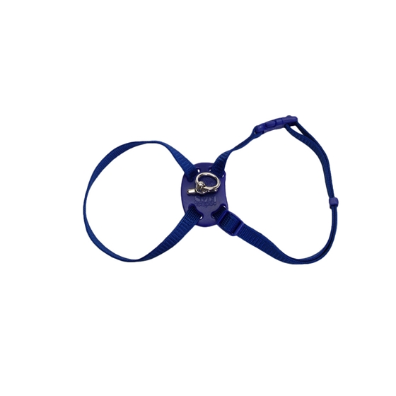 Picture of HARNESS CAT ADJUST NYLON 12-18in x 3/8in - Blue