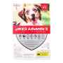 Picture of K9 ADVANTIX II RED 4 x 2.5ml DOGS 11kg - 25kg (su12)