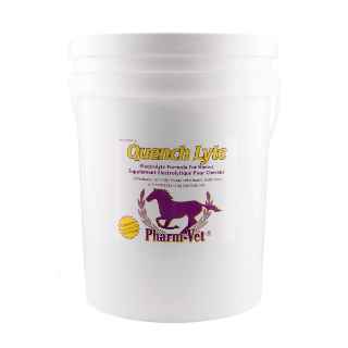 Picture of QUENCH LYTE POWDER RASPBERRY FLV - 15kg