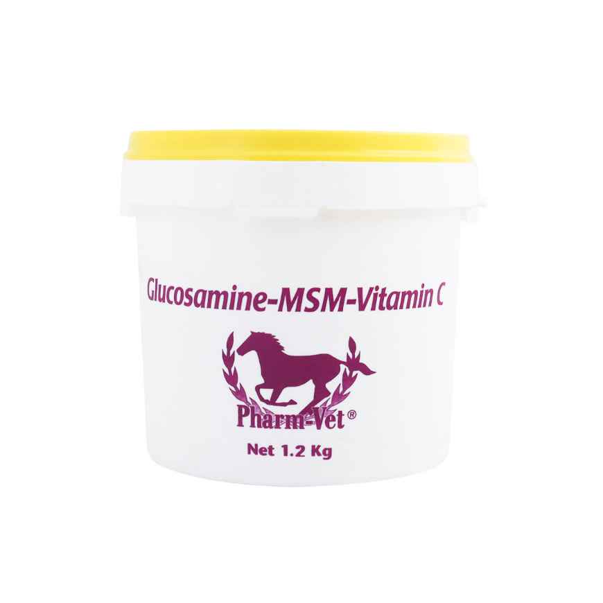 Picture of GLUCOSAMINE MSM VIT C POWDER - 1.2kg