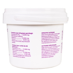 Picture of GLUCOSAMINE MSM VIT C POWDER - 1.2kg